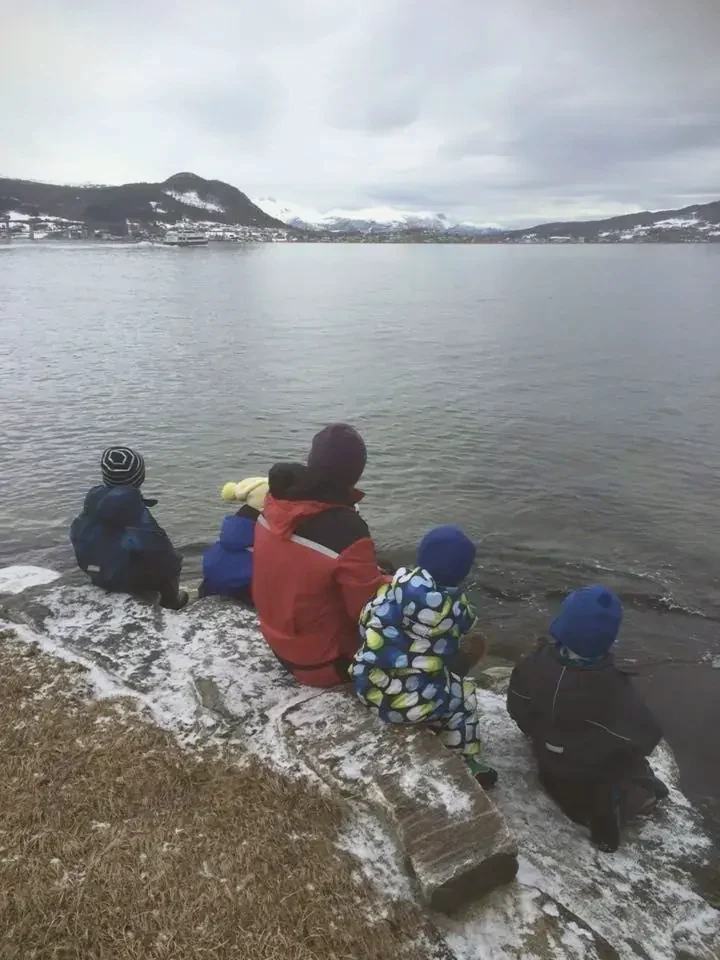 Vinterfjord med snø